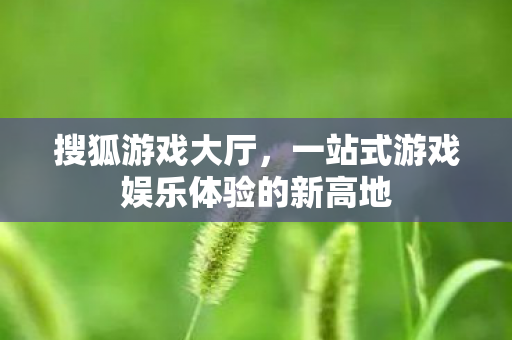 一站式游戏娱乐体验的新高地图片