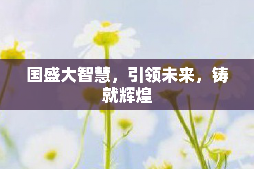 国盛大智慧图片