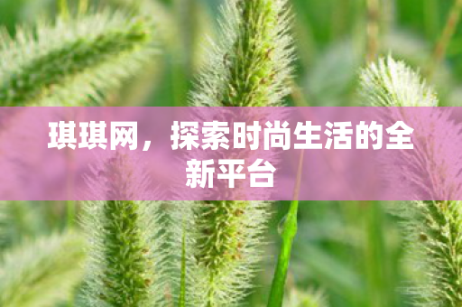 探索时尚生活的全新平台图片