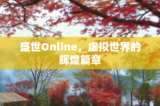 虚拟世界的辉煌篇章图片
