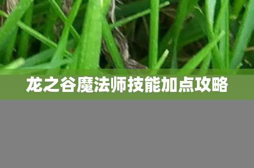 龙之谷魔法师技能加点攻略图片