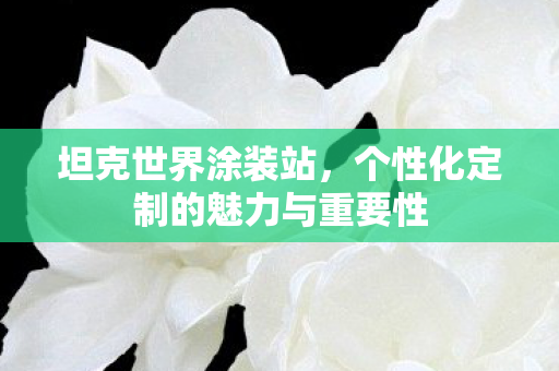 个性化定制的魅力与重要性图片