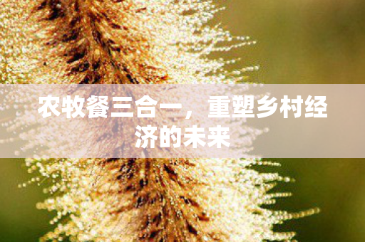 重塑乡村经济的未来图片