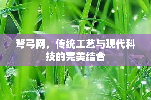 传统工艺与现代科技的完美结合图片