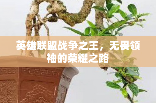 无畏领袖的荣耀之路图片