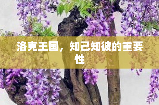 知己知彼的重要性图片