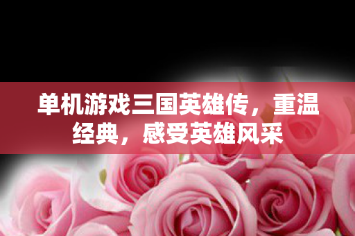 单机游戏三国英雄传图片