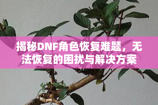 无法恢复的困扰与解决方案图片