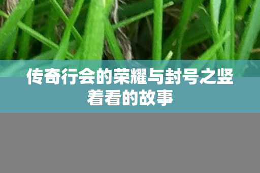 传奇行会的荣耀与封号之竖着看的故事图片