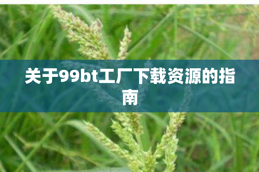 关于99bt工厂下载资源的指南图片