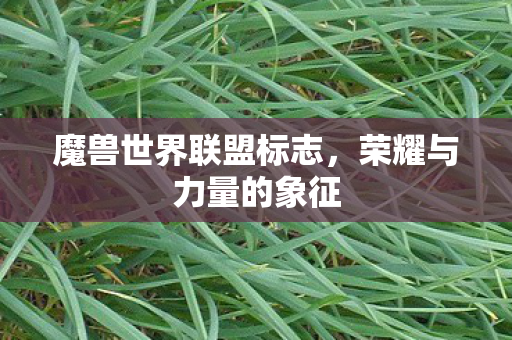 魔兽世界联盟标志图片