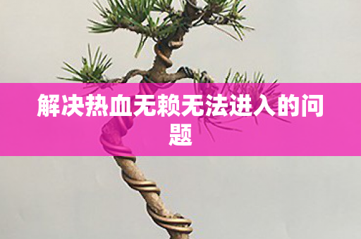 解决热血无赖无法进入的问题图片
