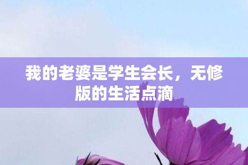 我的老婆是学生会长图片