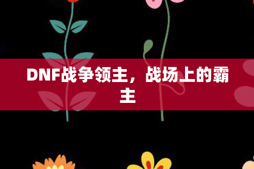 DNF战争领主图片