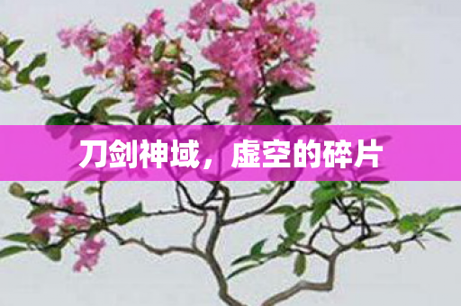 虚空的碎片图片