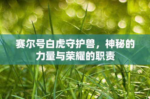 神秘的力量与荣耀的职责图片