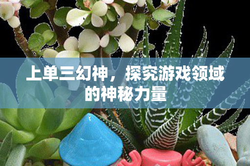 探究游戏领域的神秘力量图片