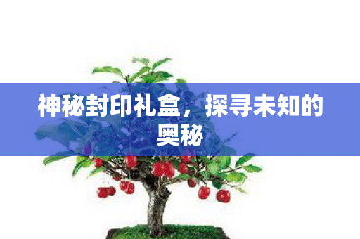 探寻未知的奥秘图片
