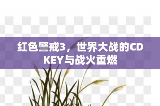 世界大战的CDKEY与战火重燃图片