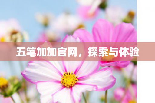 五笔加加官网图片