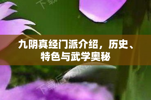 九阴真经门派介绍图片