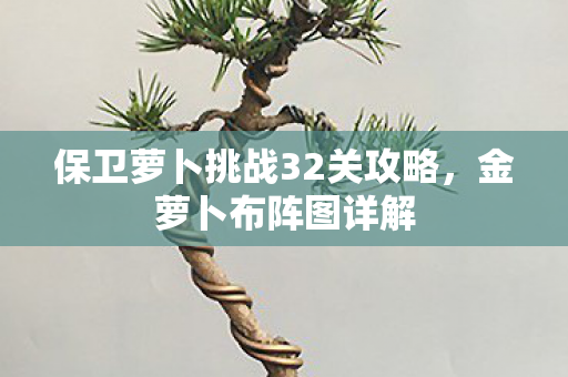 保卫萝卜挑战32关攻略图片
