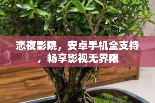 安卓手机全支持图片