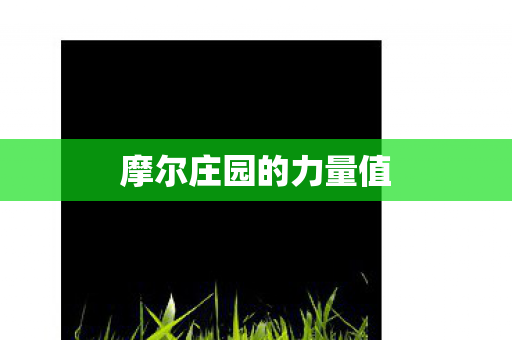 摩尔庄园的力量值图片