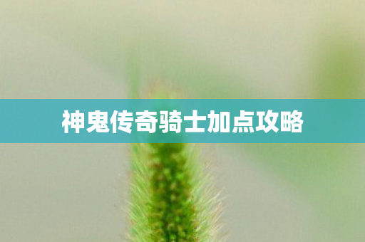 神鬼传奇骑士加点攻略图片