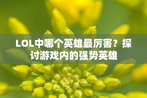 LOL中哪个英雄最厉害图片