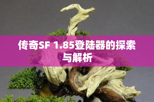 85登陆器的探索与解析图片