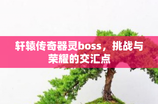 轩辕传奇器灵boss图片
