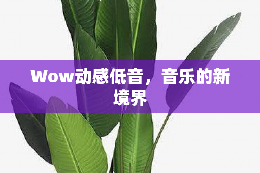 Wow动感低音图片