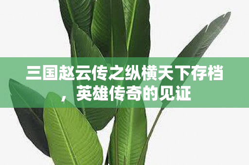 三国赵云传之纵横天下存档图片