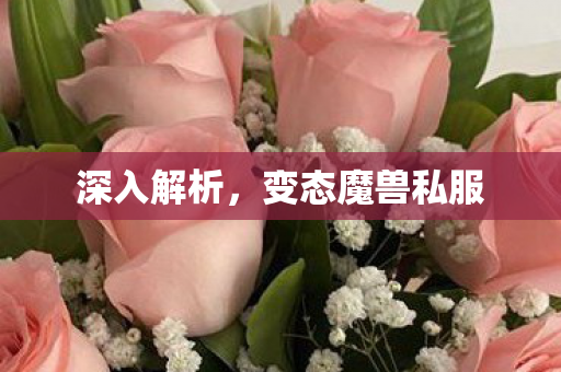 变态魔兽私服图片