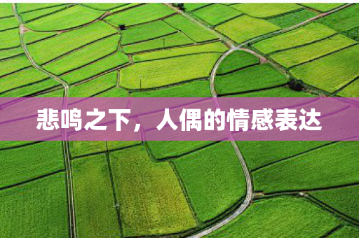 人偶的情感表达图片