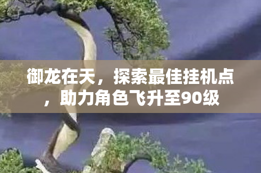 助力角色飞升至90级图片