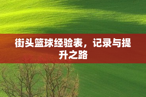 街头篮球经验表图片