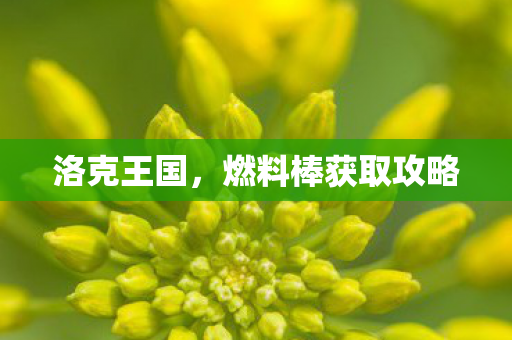 燃料棒获取攻略图片