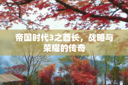 帝国时代3之酋长图片