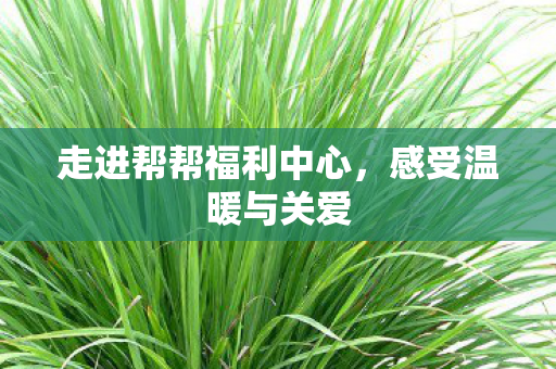 走进帮帮福利中心图片