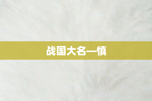 战国大名图片