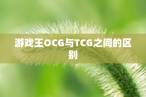 游戏王OCG与TCG之间的区别图片