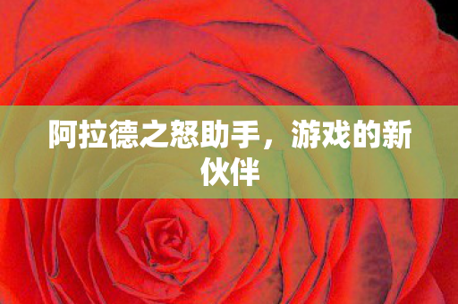 阿拉德之怒助手图片