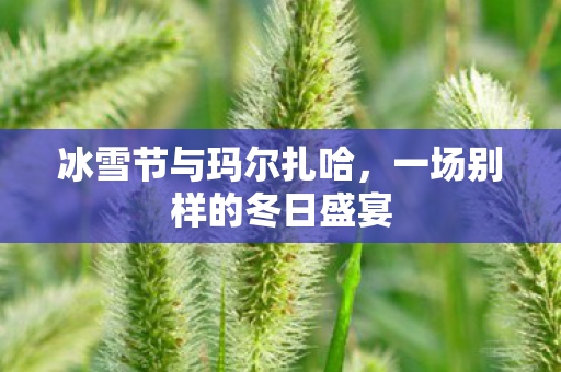 一场别样的冬日盛宴图片