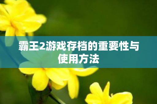 霸王2游戏存档的重要性与使用方法图片