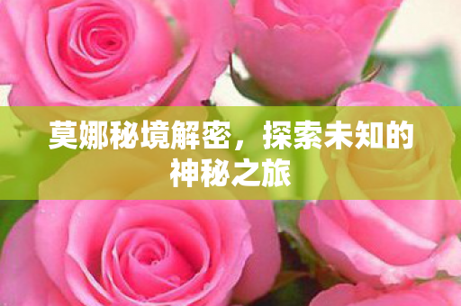 探索未知的神秘之旅图片
