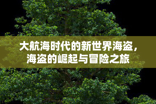 大航海时代的新世界海盗图片