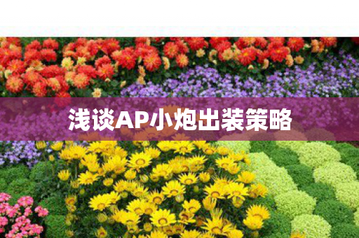 浅谈AP小炮出装策略图片
