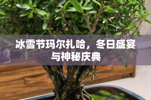 冬日盛宴与神秘庆典图片